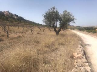 Residential Plot  Poste. abanilla