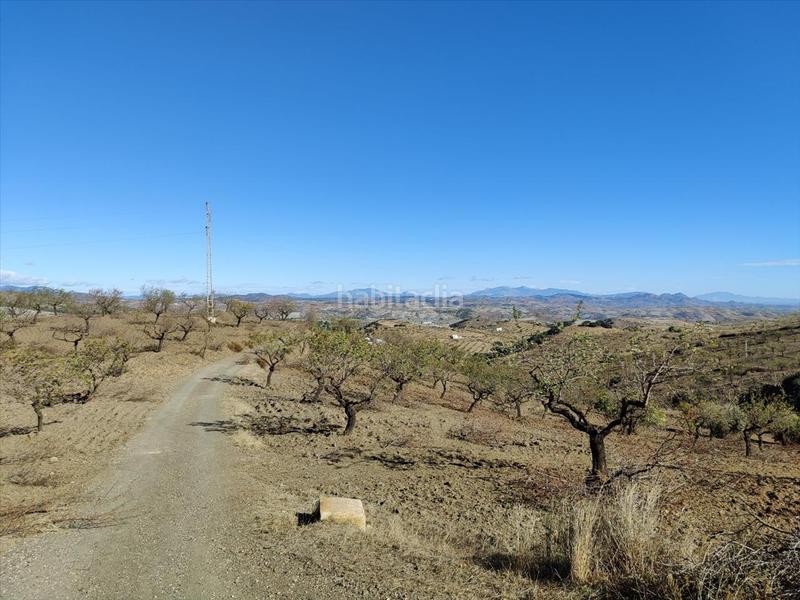 Foto 96062e82-2820-4d79-934f-fc55ec96a84d. Terrain résidentiel dans Huércal - Overa