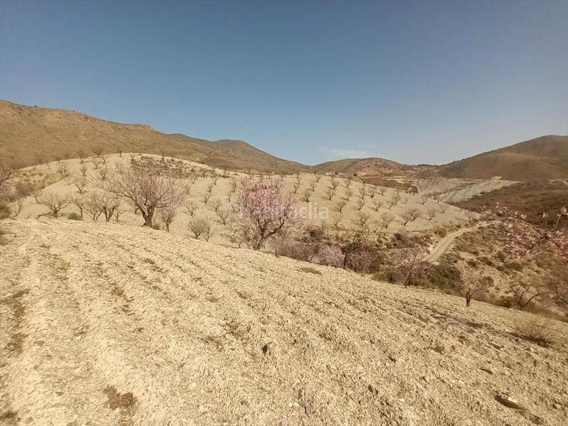 Foto 9694e2a0-f336-4d90-8680-c2e19f157a18. Terrain résidentiel dans Huércal - Overa