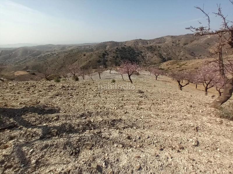 Foto dd98e9bc-7bd2-4391-b844-421c03843235. Terrain résidentiel dans Huércal - Overa