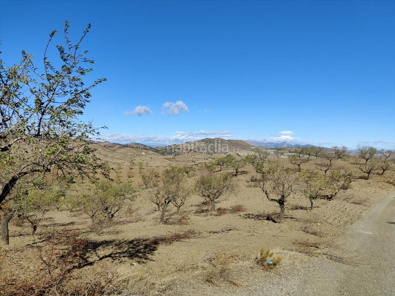 Foto e4d4b5c6-9343-4a5b-a940-d57867d49056. Terrain résidentiel dans Huércal - Overa