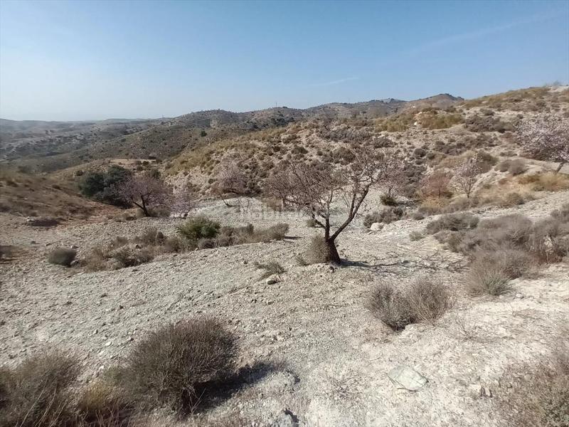 Foto fa063812-784e-4845-90f4-cb7cd27e77fb. Terrain résidentiel dans Huércal - Overa