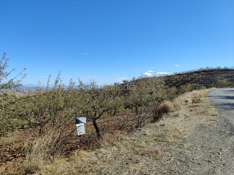 Foto 48d2534b-f9e1-4c5f-993b-bcdccdb4d5eb. Terreno residenziale in Huércal - Overa