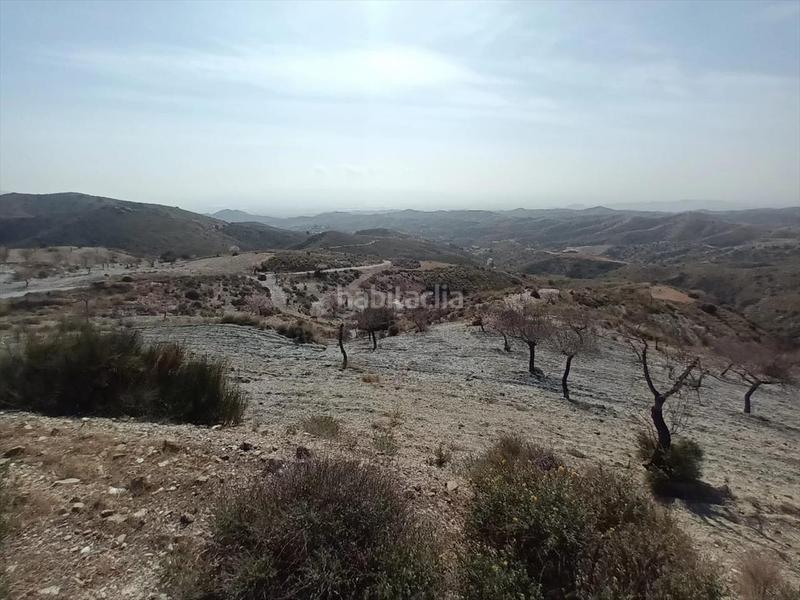 Foto 88fe8a55-d666-443b-89c1-1a3d63a861be. Terreno residenziale in Huércal - Overa