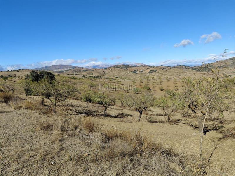 Foto 8a710ba0-f98a-4620-84ad-d8d2602af3df. Terreno residenziale in Huércal - Overa