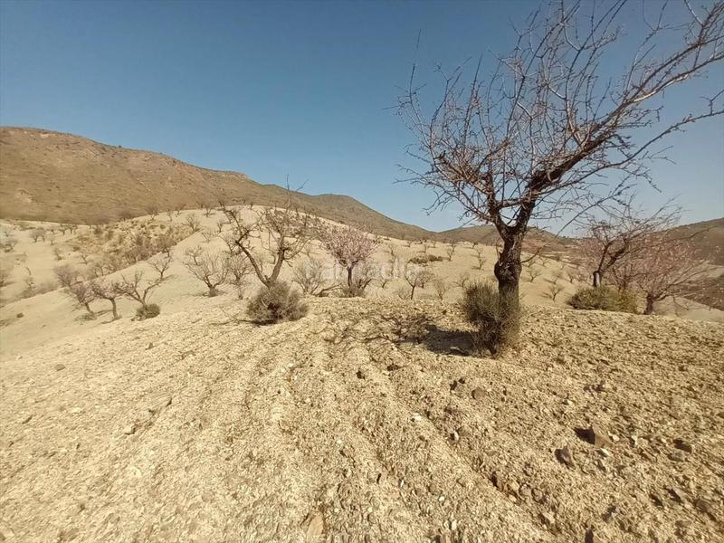 Foto bd42581b-fc61-444d-824f-d6871be24e00. Terreno residenziale in Huércal - Overa