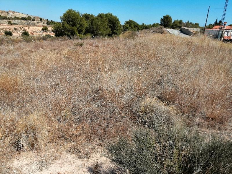 Foto 2d288f2c-4d39-4a4d-b892-05a25307acd3. Terreny residencial a Moralet Alicante