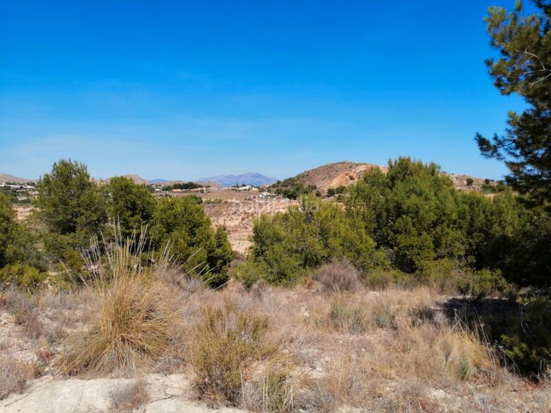 Foto 74750317-4a8e-4689-af77-0386a4a78ee8. Terreny residencial a Moralet Alicante