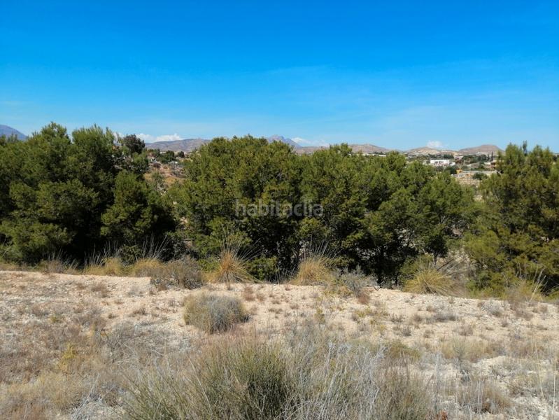 Foto b467043d-fed0-4681-8e6e-654e53263a3c. Terrain résidentiel dans Moralet Alicante