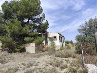 Terreno residenziale  Polígono 20 parcela 135