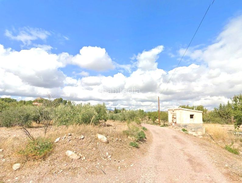 Foto 7f72a83a-8b1d-4de8-a133-b4f8cc93f004. Pis a Parrilla Lorca