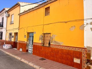 Haus  El loro
