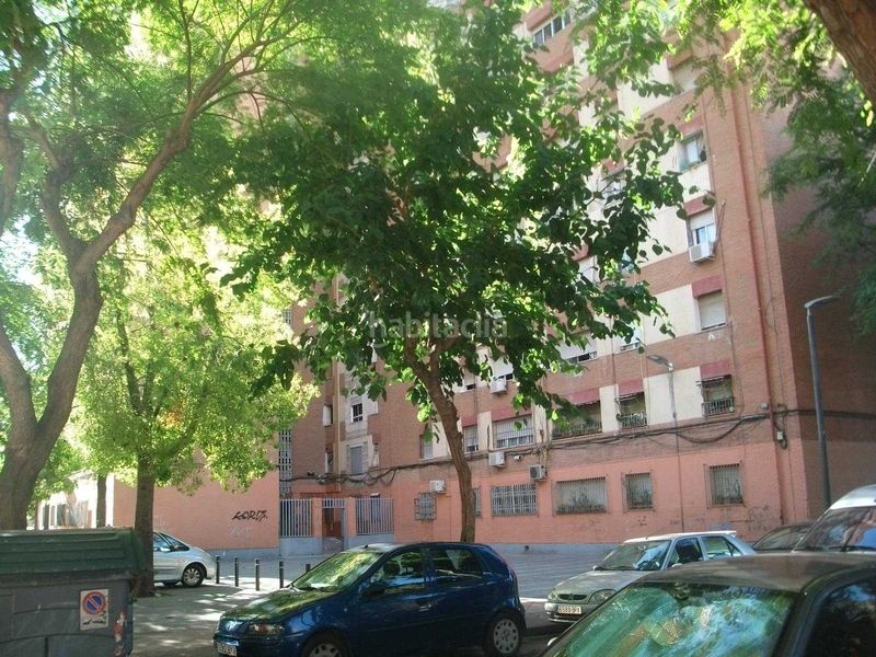 Foto cc9cd4be-c546-4d35-a524-56bb26184206. Pis a La Fama Murcia
