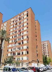 Pis  Santa rita