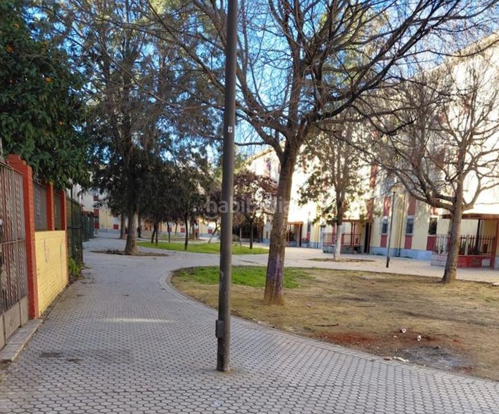 Foto fe5fae5d-ca4d-4ddf-be60-65f929c31f36. Pis a La Oliva Sevilla