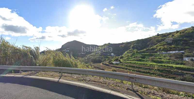 Foto f5c9b596-ccbc-41ff-b545-fcfebab46eef. Pis a El Álamo - Arbejales Teror