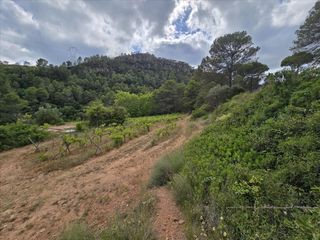 Wohngrundstück in Plana de Cal Cendra