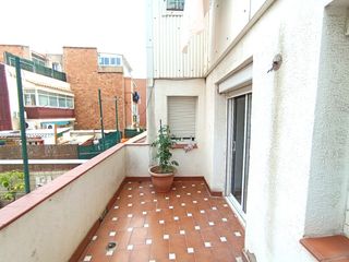 Flat  Dels banus