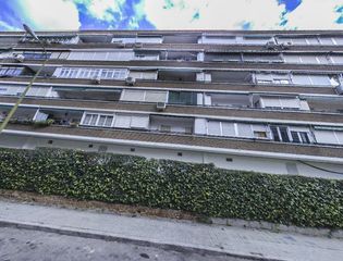 Flat  Camarena