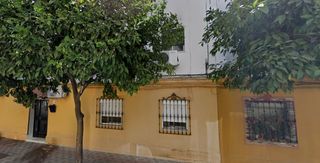 Flat  Esturion