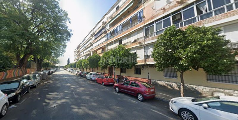 Foto c9b29fbd-a8f9-4ee3-aa5e-e26ab85f67b6. Pis a Parque Alcosa Sevilla