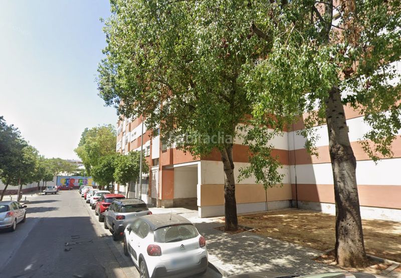 Foto f08a68e0-0c0f-405e-ade2-0444e7177d71. Pis a La Oliva Sevilla
