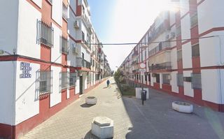 Pis a JOSE MUÑOZ SAN ROMAN
