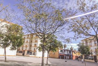 Casa  Cl. escultor 3 3ª planta dcha