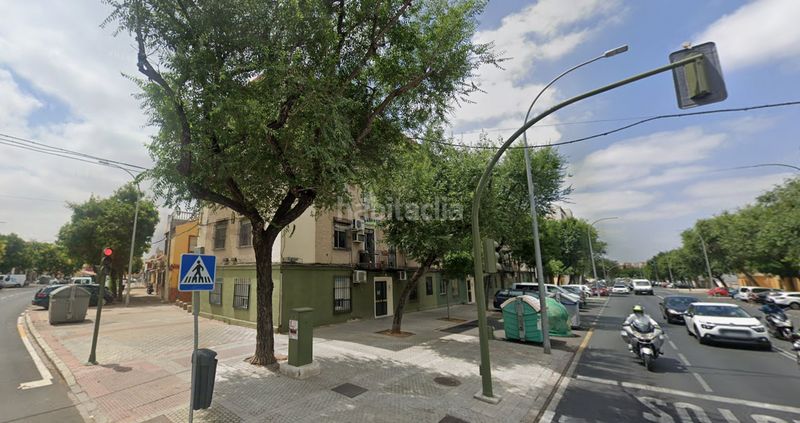 Foto 26ba7ed4-1f9d-4d65-bc4b-14c7b027d3e8. Pis a Amate Sevilla