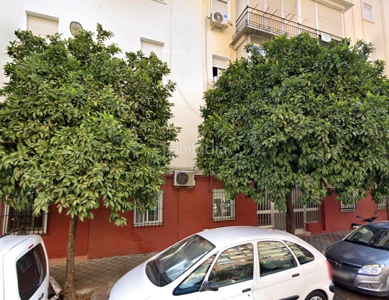 Foto c5947e1f-71c6-4182-9d84-848c7b12d507. Pis a Triana Oeste Sevilla