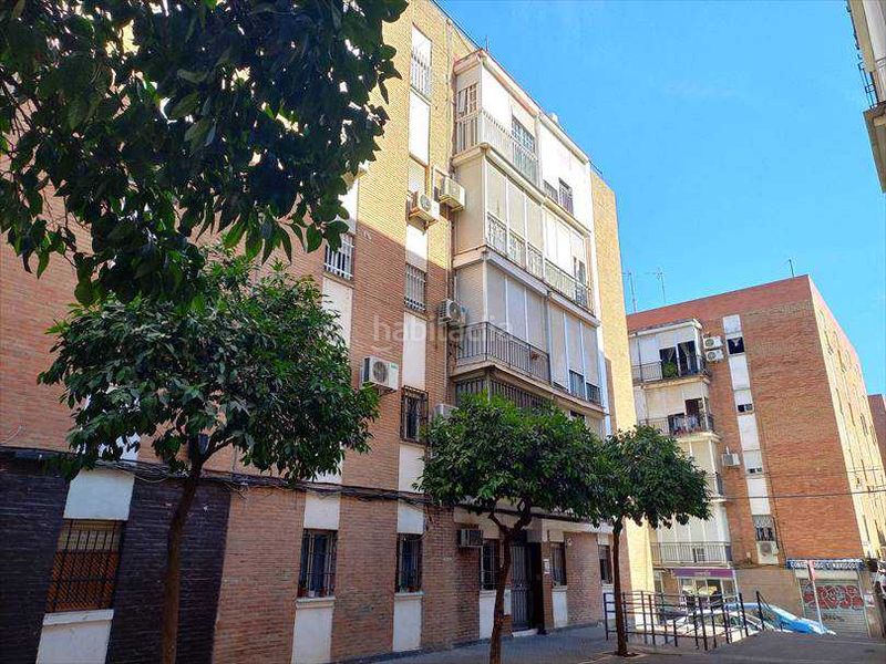 Foto 08bbf112-595b-425d-bf9e-3b95824d2ac9. Pis a El Torrejón - El Cerezo Sevilla