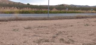 Terreno residenziale  Proc. simplificado
