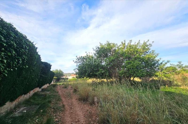 Foto 7254aa1a-c3e2-4a2c-b5c9-a7c3233f5310. Terreny residencial a Clarà Torredembarra