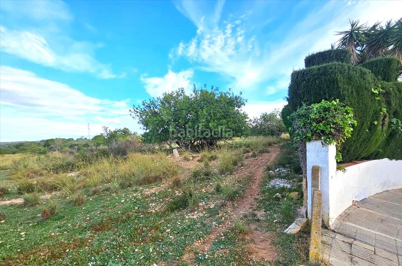 Foto 9dbff4d6-9bd7-447a-a4b0-2c64aa904c61. Terreny residencial a Clarà Torredembarra