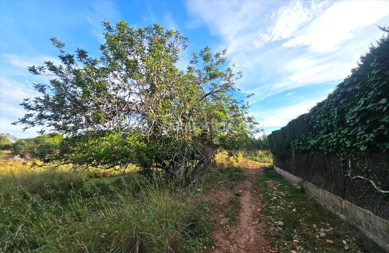 Foto b5d6dc4e-1526-4b3c-87f7-f361493efaae. Terreny residencial a Clarà Torredembarra