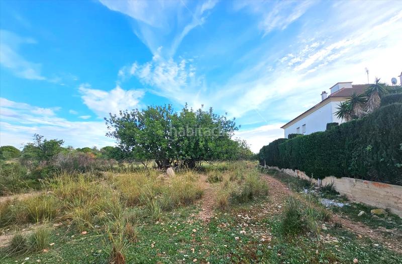 Foto 6ff3c7ef-e406-47e4-999b-7545fa1a3fcf. Terrain résidentiel dans Clarà Torredembarra