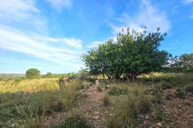 Foto 874495db-ec82-4618-85eb-681d6d83403d. Terrain résidentiel dans Clarà Torredembarra