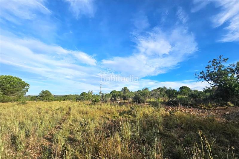 Foto ad96a825-2dc5-49af-b789-bf7809ad6d4a. Terrain résidentiel dans Clarà Torredembarra