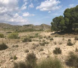Terreny residencial  Benis