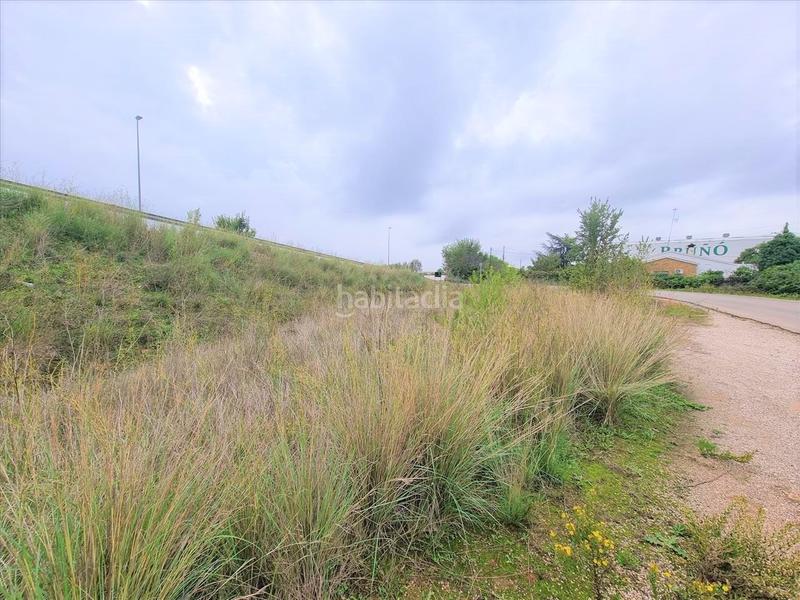Foto e5b9930b-947a-4548-a402-753f005146e2. Terrain industriel dans Alcalà de Xivert