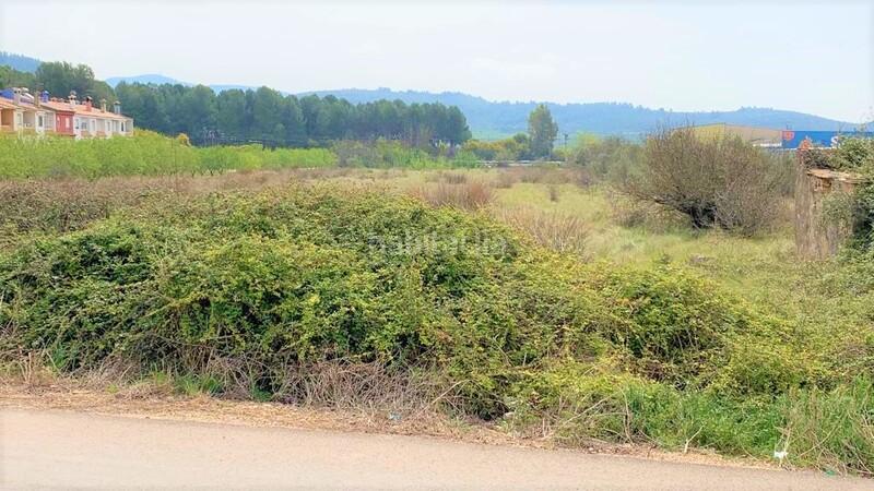 Foto 955cc2f6-492c-4602-a3ef-7ca9e8fd555c. Terreny residencial a Alcalà de Xivert