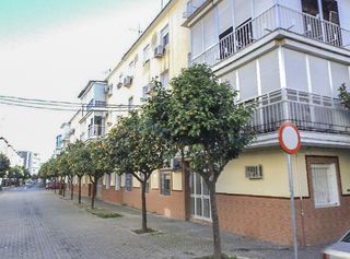 Casa  Gladiolo