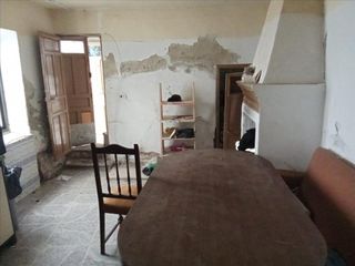 Haus  Poyo gato