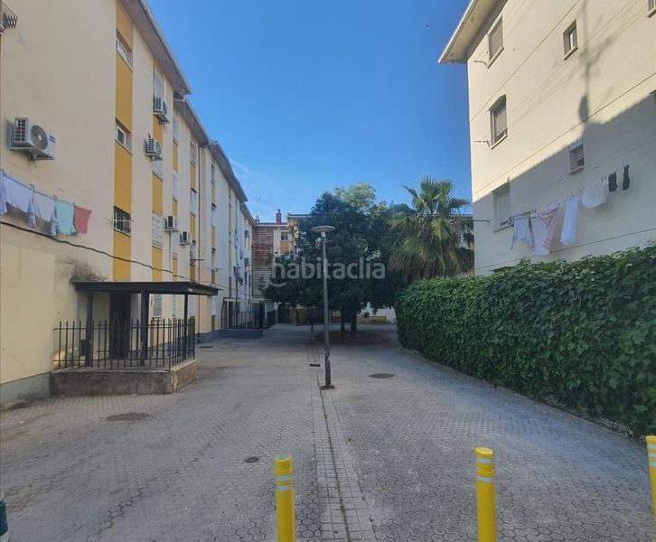 Foto 0f47fc46-566d-4e7a-b1f3-2b8711cbf40c. Pis a La Oliva Sevilla