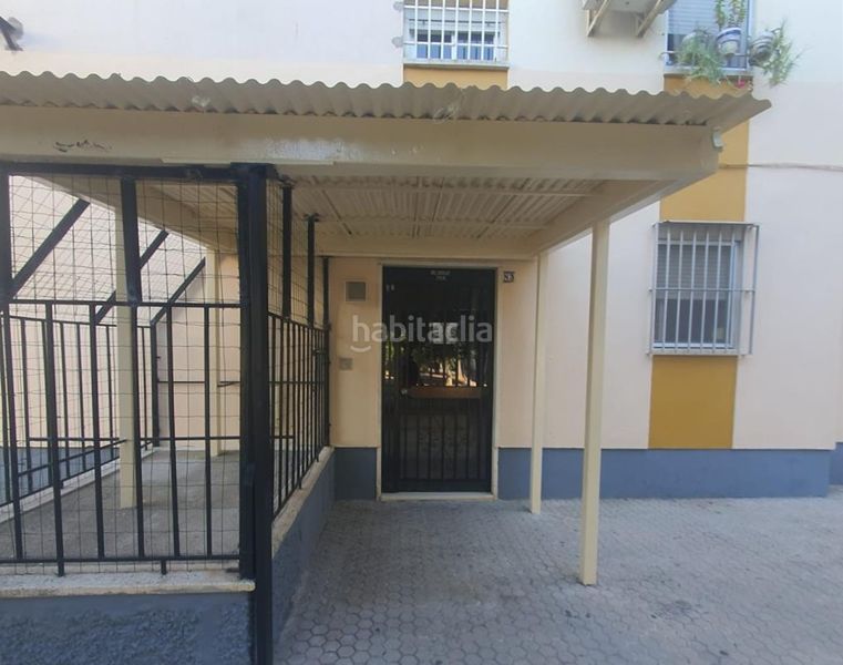 Foto 3b7180cb-4800-4864-8d45-40deb78d87d9. Pis a La Oliva Sevilla