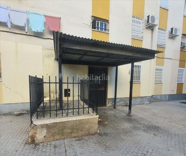 Foto b8c3b097-0c0a-4f99-a04a-38f84998df13. Pis a La Oliva Sevilla