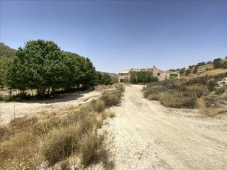 Terreny residencial  Peralejo. jumilla