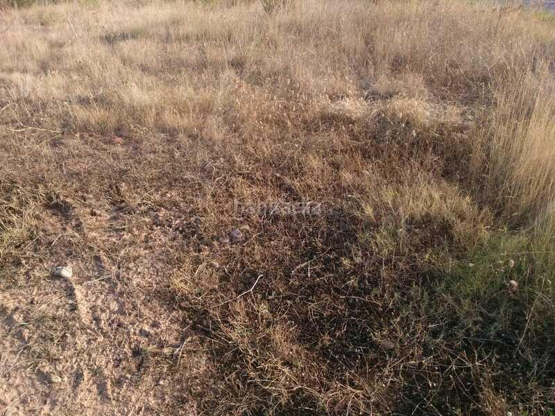 Foto 115ba35d-80af-4061-be17-1b4c25d7e9b5. Terreno residenziale in Nalda