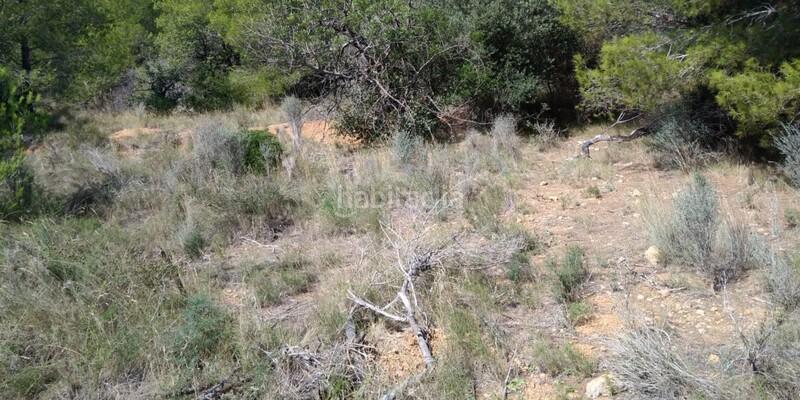 Foto f3e409e8-c8c6-4659-a228-7bf3f7d0119e. Terreny residencial a El Balcó-Jaume I Oropesa del Mar
