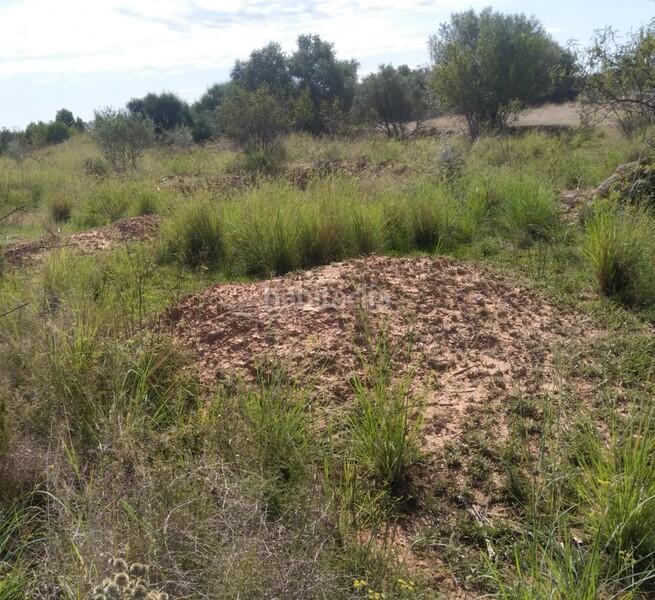 Foto f75a0b1b-63fc-4a72-bb5f-76fc2c957212. Residential plot in El Balcó-Jaume I Oropesa del Mar